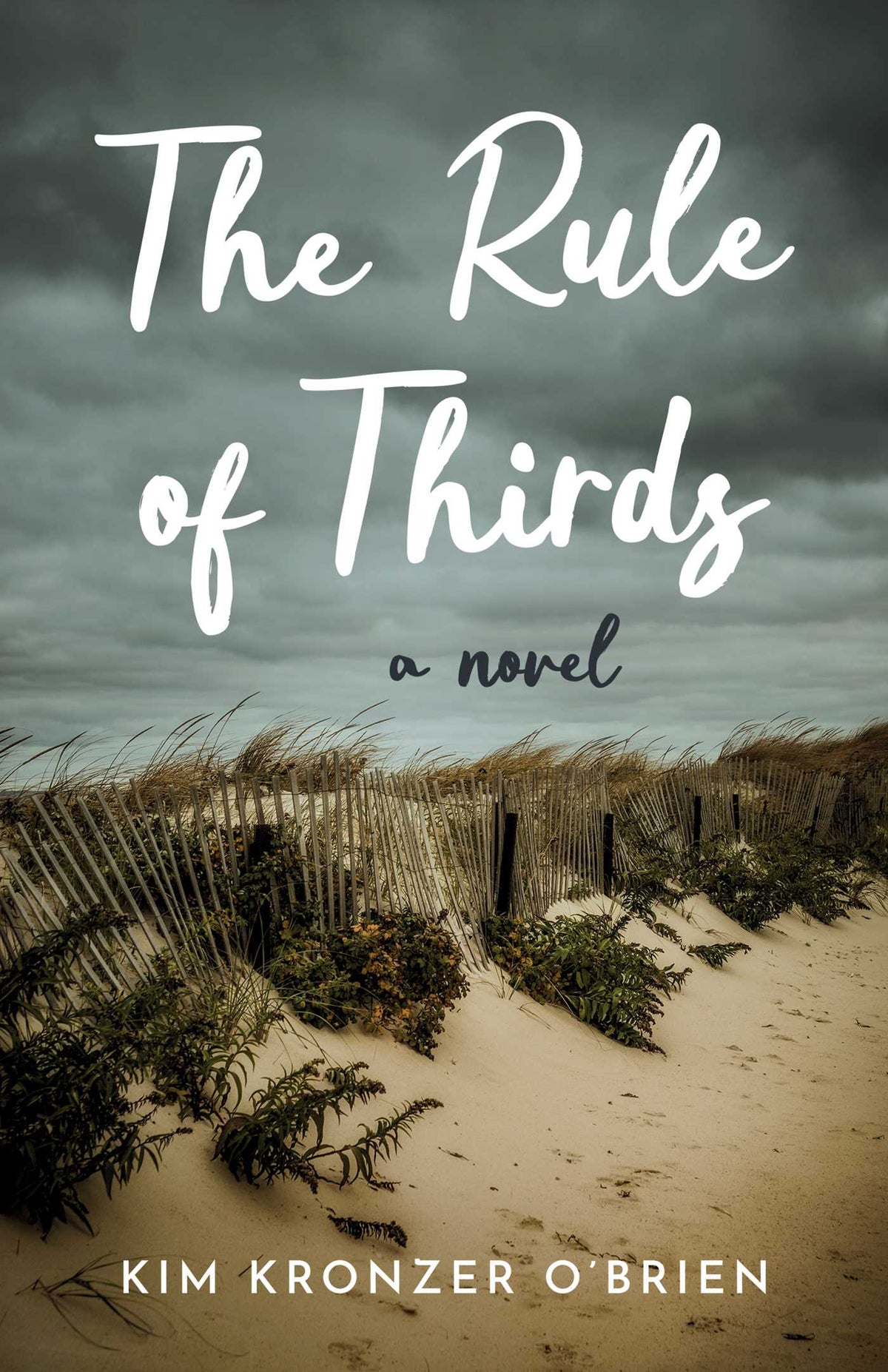 Rule of Thirds: A Novel