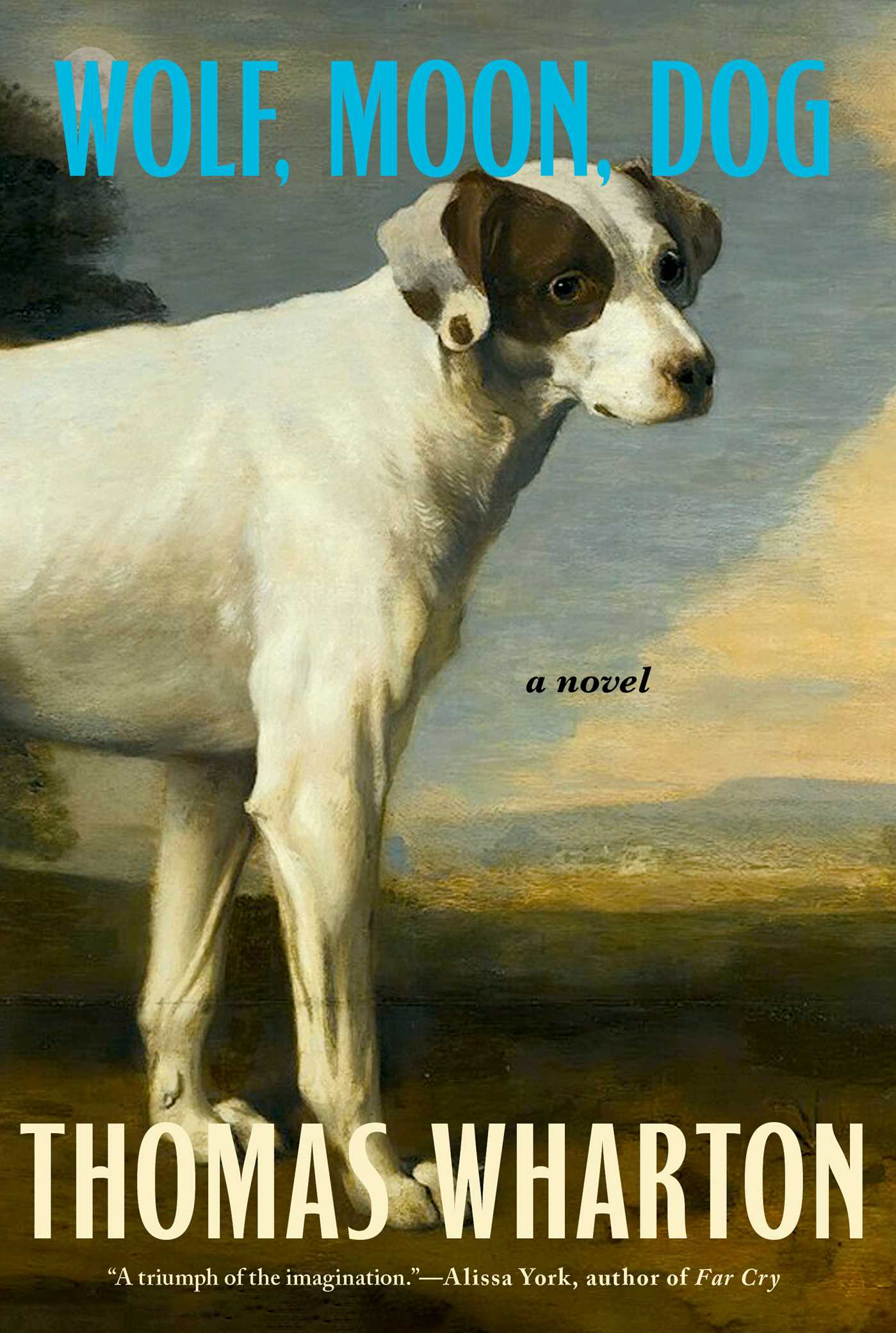 Wolf, Moon, Dog